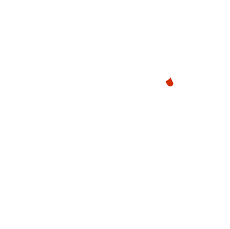 LazyFlock studio logo